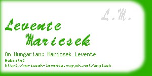 levente maricsek business card